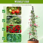2 Pack Garden Trellis for Climbing Plants Outdoor,63inch Tall Rustproof Metal Obelisk Trellis Support for Potted Vines Vegetable Plants Indoor Outdoor, Lightweight