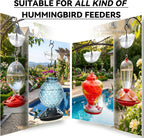 Ant Moat for Hummingbird Feeder, 5 OZ, 4 Pack,Clear | Umbrella Ant Guard, Large Capacity, 3.94 inch / 100 mm in diameter