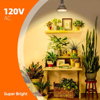 Hanging Grow Light for Indoor Plants, 3000K | 25W Hanging Plant Light, 3000K Full Spectrum LED with 16.4ft Power Cord, Ideal for Indoor Tall Plants,1-Pack