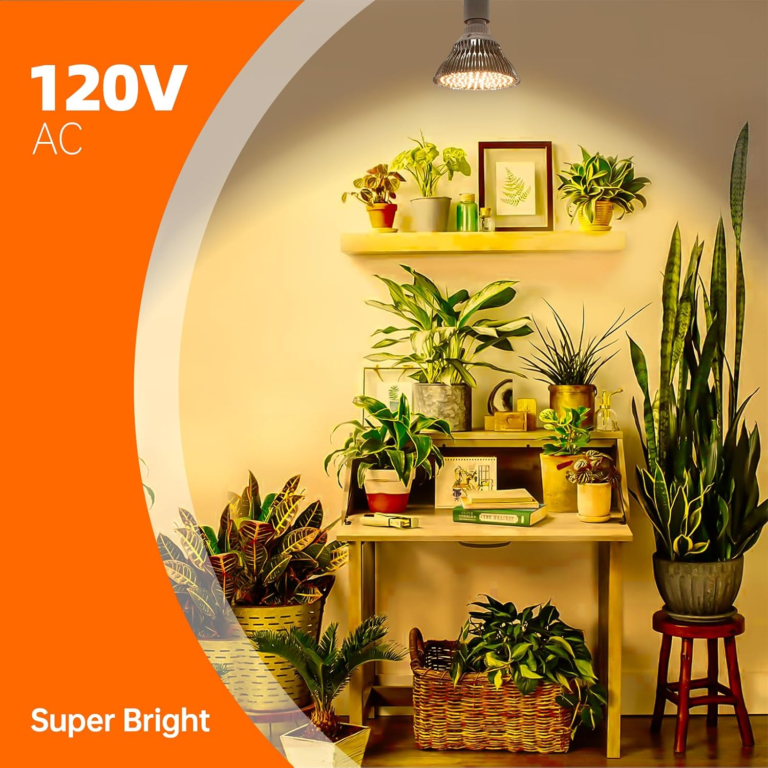 Hanging Grow Light for Indoor Plants, 3000K | 25W Hanging Plant Light, 3000K Full Spectrum LED with 16.4ft Power Cord, Ideal for Indoor Tall Plants,1-Pack