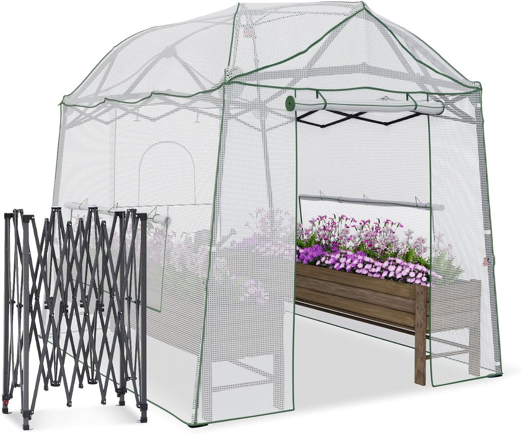 8.5 x 7 ft pop‑up walk‑in greenhouse for shown in use