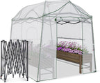 8.5 x 7 ft pop‑up walk‑in greenhouse for shown in use