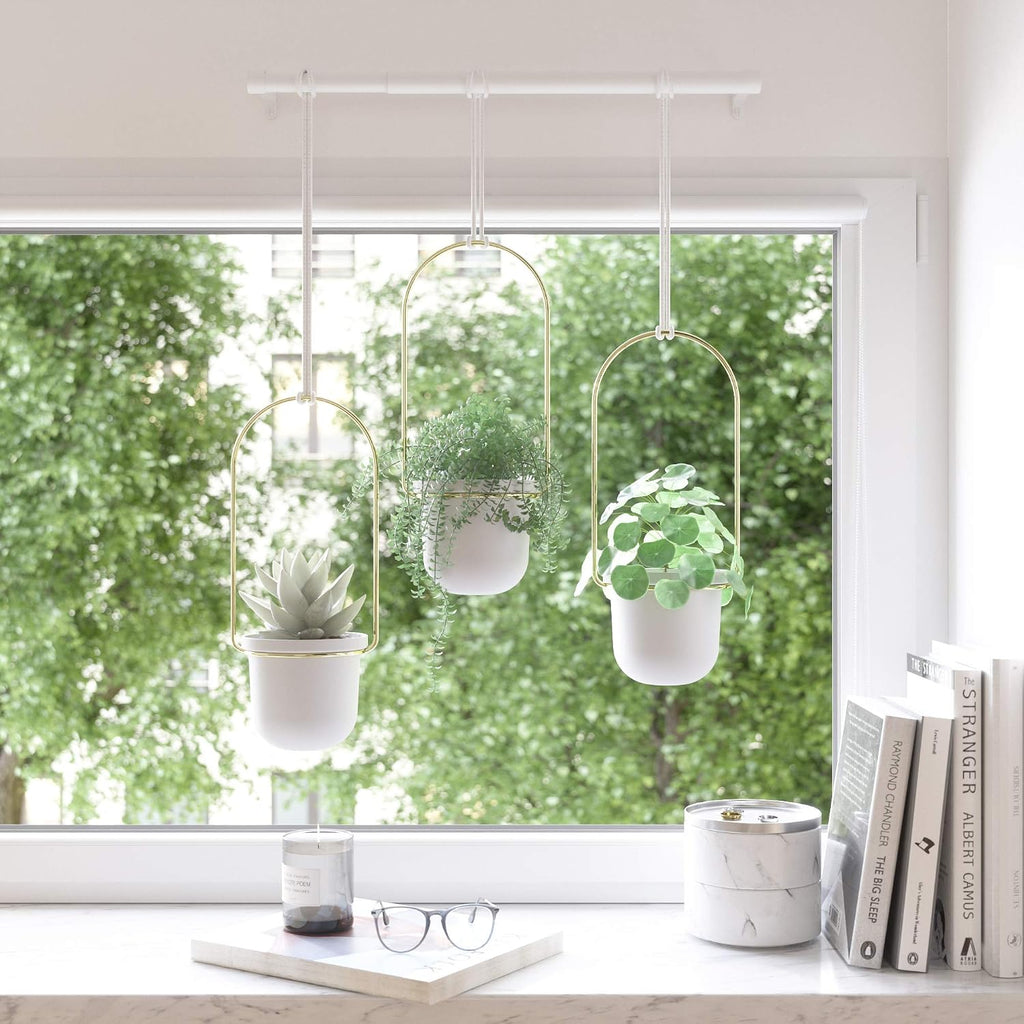 umbra triflora hanging planter, indoor herb garden, set, front angle view