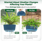 T4U 10 Inch Hanging Planters for Indoor Outdoor Plants, Hanging Baskets for Plants Pack of 2, Self Watering Hanging Pots with Drainage Hole for Garden Home Decor, Blue
