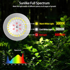 outdoor led grow light, waterproof string plant growing shown in use
