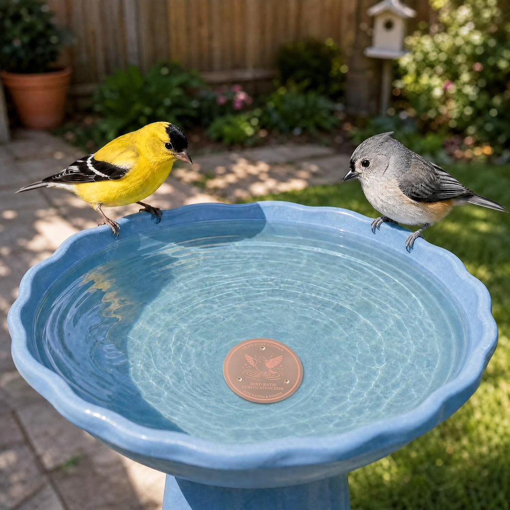 Bird Bath Copper Disk 99.9% Pure Copper Release Cu Clean Water Outdoor Disc | Diameter 4", 0.6mm Triple-Point, Release Boost Cu+, All-Season Purification, Outdoor Bowl Birdbath, Garden Backyard Disc