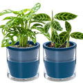 d'vine dev self-watering blue terracotta planter, 6 in, main product view