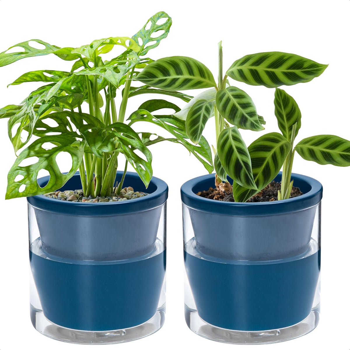 d'vine dev self-watering blue terracotta planter, 6 in, main product view