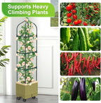 Raised Garden Bed Planter Box with Trellis, 71" Self-Watering Tomato Planter with Wheels for Climbing Vegetable and Plants, Tomato Cage Planters for Indoor Outdoor Patio Greenhouse Gardening (1Pack)