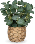 dilatata artificial eucalyptus stems in woven basket planter, main product view