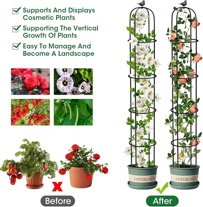 6.2ft Garden Obelisk Trellis for Climbing Plants Rustproof Metal Pipe with Heavy Duty Plastic Coated Garden Outdoor Indoor Potted Plant Support for Clematis Vine Jasmine Support