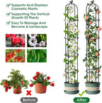 6.2ft Garden Obelisk Trellis for Climbing Plants Rustproof Metal Pipe with Heavy Duty Plastic Coated Garden Outdoor Indoor Potted Plant Support for Clematis Vine Jasmine Support