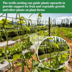 Sukh Garden Plant Trellis Netting - 3 PcsTrellis Net Polyester Trellis Netting Garden Square Mesh for Climbing Plants Fruits Vegetables VinesGrow Tents