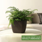 Dexceder 9x8 Self Watering Planter Indoor Outdoor, Inner Mat Design, Thickened Table Flower Plant Pot with Water Level Indicator (Brown Rattan)