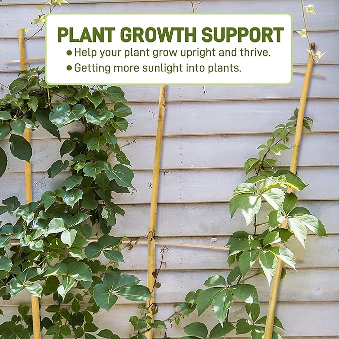 Avalution 10 Pack Bamboo Trellis for Climbing Plants, 3 FT Garden Ladder Trellis for Potted Plants Indoor, Fan-Shaped Small Plant Support Trellis for Houseplants Ivy Hoya Vine Monstera