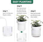 Phoenix Vine 4 Inch Self Watering Planter, White Terracotta Clay Pot with Glass Reservoir for Indoor Plants, Herbs, Flowers, Set of 4, 52-B-E-4