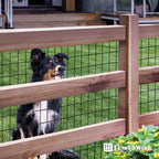 Fencer Wire Vinyl Coated 16 Gauge Welded Fence Wire Roll, Mesh Size 2-Inch x 3-Inch, Black Metal Garden Fencing Wire Grid Hardware Cloth, Multiple Use for Home Improvement