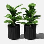 Veradek Demi Series Round Planter for Porch, Patio, Backyard | Durable Plastic-Stone Composite Material | Modern Décor for Tall Plants, Flowers