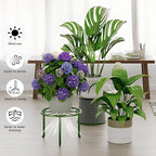 5-Pack Metal Plant Stand Indoor Outdoor Decoration Small Plant Holders for Home Flower Pot Holder Stand for Multiple Plants