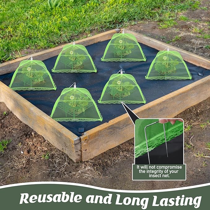 6 Sets Strawberry Plant Support with Mesh Plant Cover,Strawberry Growing Racks Sets with Iron Plant Nails and Storage Bag for Garden Strawberry Vegetables(Green Net - Square)