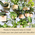 LaLaGreen Wooden Planter Box for Plants (4x4 Inch, 6 Pack) Small Square Wall Planters for Indoor Plant, Natural Wood Hanging Flower Boxes Herb Planter Table Centerpiece Modern Home Garden Office Decor