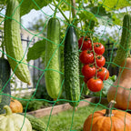 DECYOOL Trellis Netting for Climbing Plants, Garden Trellis Netting Plant Support Net 1.8 x 5 m Heavy Duty Nylon Climbing Vine Net for Outdoor Vegetables