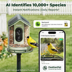 kiwibit solar powered smart bird feeder with camera showing dimensions