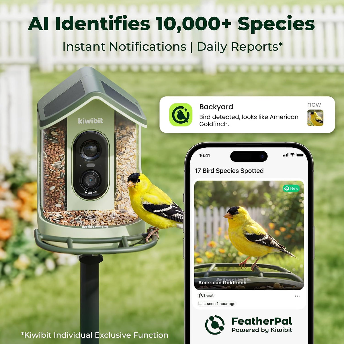 kiwibit solar powered smart bird feeder with camera showing dimensions