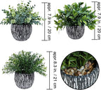 Winlyn Set of 3 Artificial Potted Plants Faux Eucalyptus Rosemary Boxwood Greenery in Black & White Concrete Pots Small Fake Plant for Indoor Outdoor Home Office Table Shelf Windowsill Greens Décor