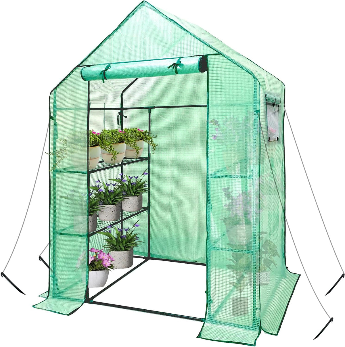 walk in greenhouse with shelves,walk-in plant plastic green, main product view