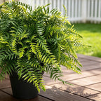 2set artificial fern potted plant for front door, close-up detail