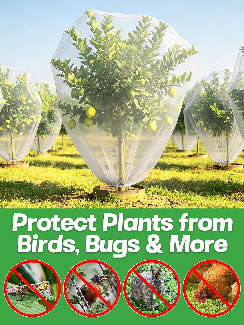 4ft x 5ft insect bird netting for garden showing dimensions