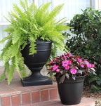 The HC Companies Eclipse Round Planter with Saucer - Outdoor & Indoor Plant Pot with Drainage Holes - Lightweight, UV-Resistant Plastic Pots for Plants, Flowers & Herbs (8" Black, Pack of 1)