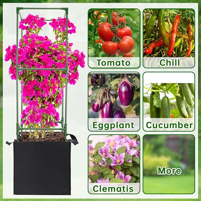ANPHSIN 2 Sets Tomato Cages with 10 Gallon Grow Bags - 47'' Stable Plant Support Trellis Kit, Square Cages with Planter Pots for Garden Flowers Vegetables Cucumber Vertical Climbing Plants Vines