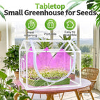 desktop mini indoor greenhouse with adjustable grow light showing dimensions
