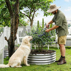 Round Galvanized Raised Garden Bed Kit, Round Galvanized Planter for Vegetables/Herbs/Flowers Heavy-Duty Steel Outdoor Water Trough (Silver, 3X3X1FT)