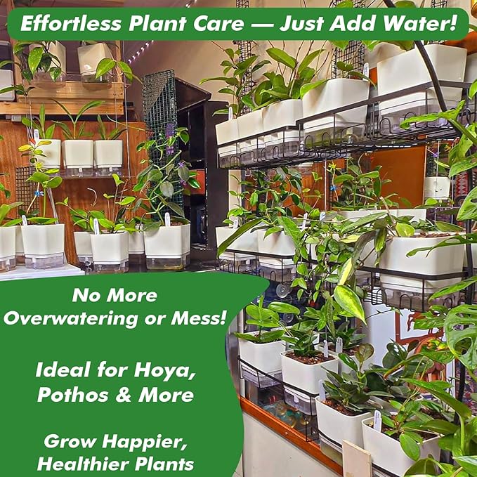 Planterhoma Self Watering Plant Pots for Indoor Plants 7 inch, 8 Packs Rectangular Self-Watering Planters with Drainage Hole, White African Violet Pots for Devil's Ivy, Spider Plant, Orchid, Herb