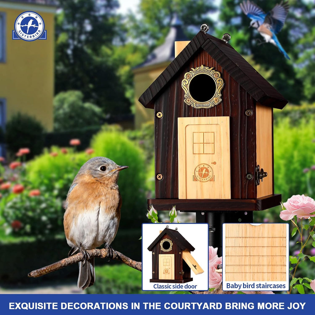 SISTERBIRD Pack of 2 Premium Bluebird Houses for Outside, All Seaons Bird Houses for Outside, Wooden Cabin Birdhouses for Outdoors, Weatherproof Courtyard Decorated Hanging Bird House