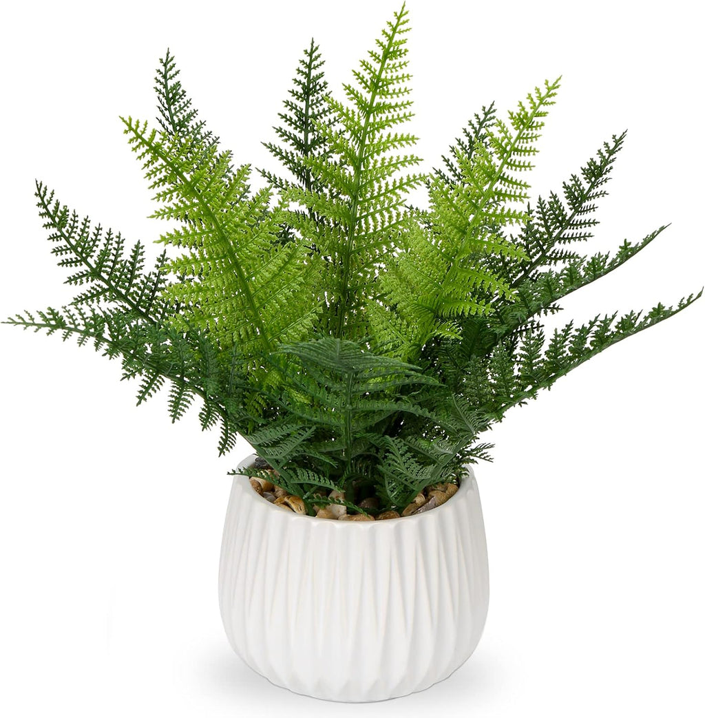 dilatata faux plant indoor in ceramic pot 12", main product view