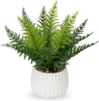 dilatata faux plant indoor in ceramic pot 12", main product view
