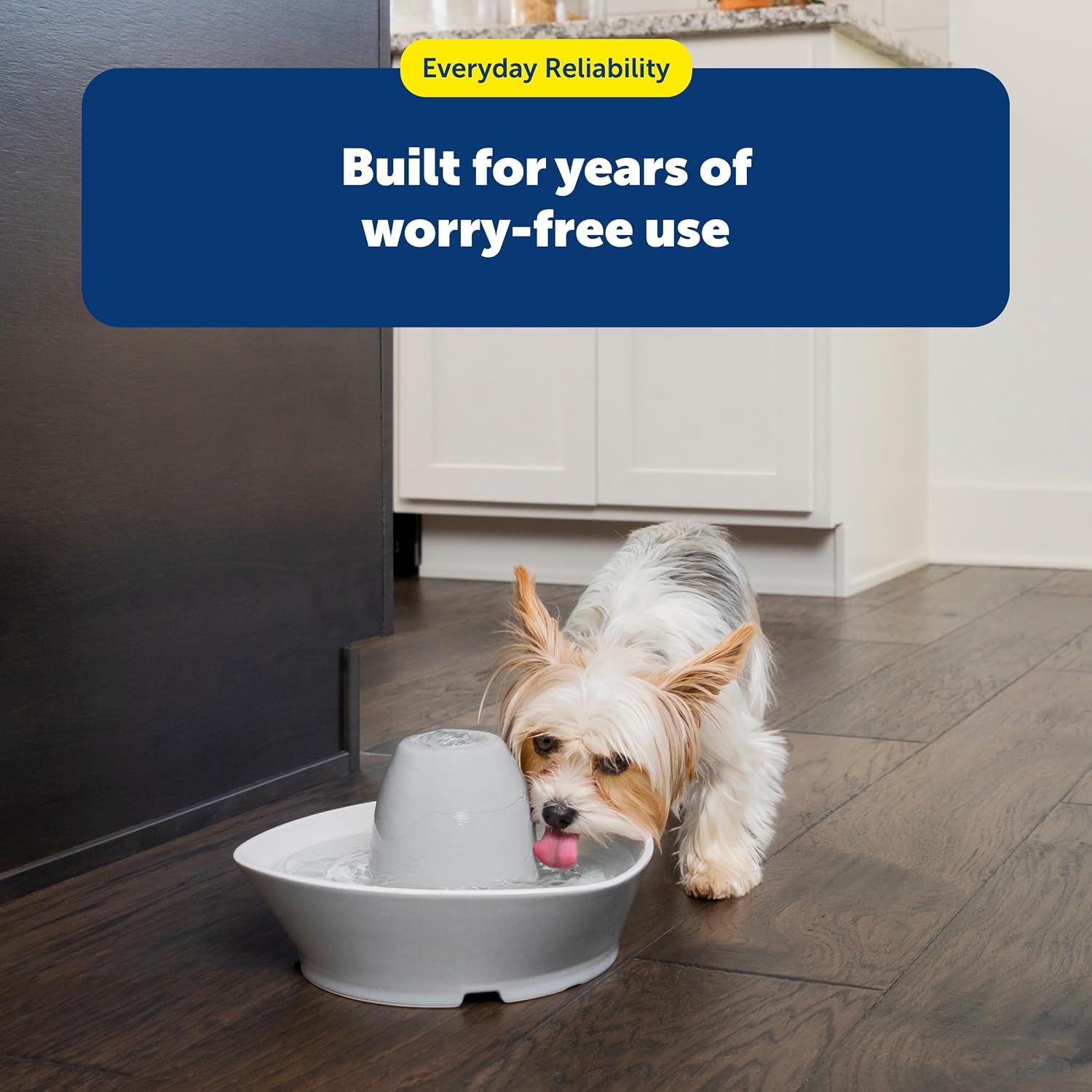 PetSafe Drinkwell Pet Fountain Replacement Carbon Filters, (Pack of 48)