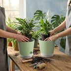 GARDIFE 2026 Upgraded Self Watering Plant Pots with Drainage Hole, 7/6.5/6/5.5/5/4 Inch Flower Planting Containers for House Plants, African Violet, Flowers, Cactus (Green, 7+6.5+6+5.5+5+4 inch)