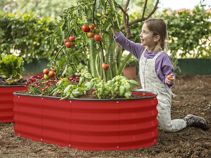Plant & Plot Galvanized Raised Garden Beds Outdoor // 4×2×1 ft Planter Raised Beds for Gardening, Vegetables, Flowers // Large Metal Garden Box (Red) // Patented Tool-Free Design