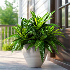 artificial greenery stems fake bird nest fern faux, main product view