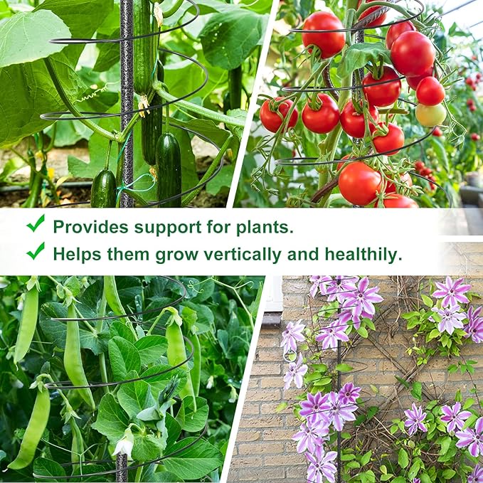 2 Pack 72in Tall Spiral Frame Trellis for Climbing Plants Outdoor, Heavy Duty Metal Garden Plant Tower, Rustproof Support for Pole Bean Cucumber Sweet Peas Clematis Vines, Anti-Tip Pot Indoor Decor