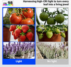 Barrina OG11A Grow Light Bulbs for Indoor Plant, 4000K 11W, 1 Pack, White | Integrated Dimming & Timing, E26 Plant Light Bulb, Full Spectrum, High PPFD for Seeds and Greens