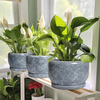 SQOWL Ceramic Pot for Plants - 10 Inch Plant Pot Indoor with Drainage Hole and Saucer, Round Ceramic Planter, Decorative Large Flower Pot Outdoor, Home Office Room Decor, Garden Gifts, Gray