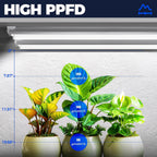 Barrina T8 Grow Lights for Indoor Plants, 3FT 5000K Full Spectrum, 6 Packs | V-shaped Reflector, 180W(6 x 30W), Daylight White Plant Light, Linkable LED Growing Light for Seedlings, and Shelf