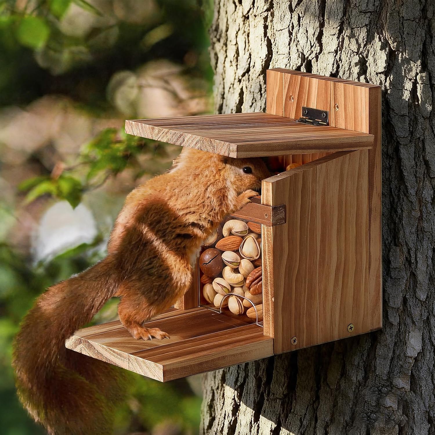 Squirrel Feeders for Outside, Durable Squirrel House for Outdoor - Chipmunk Feeder, Squirrel Food for Backyard Squirrels Hold Corn, Peanuts (Brown)