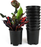 4 Inch Nursery Pot Plastic Planters for Outdoor Indoor Plants Gardening Flower Pots 10-Pack 0.25 Gallon Pot Liners with Drainage Holes